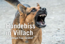 Hundebiss in Villach