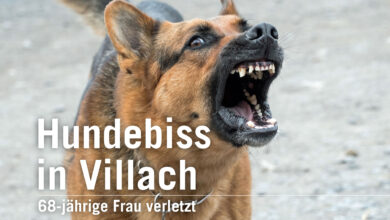 Hundebiss in Villach